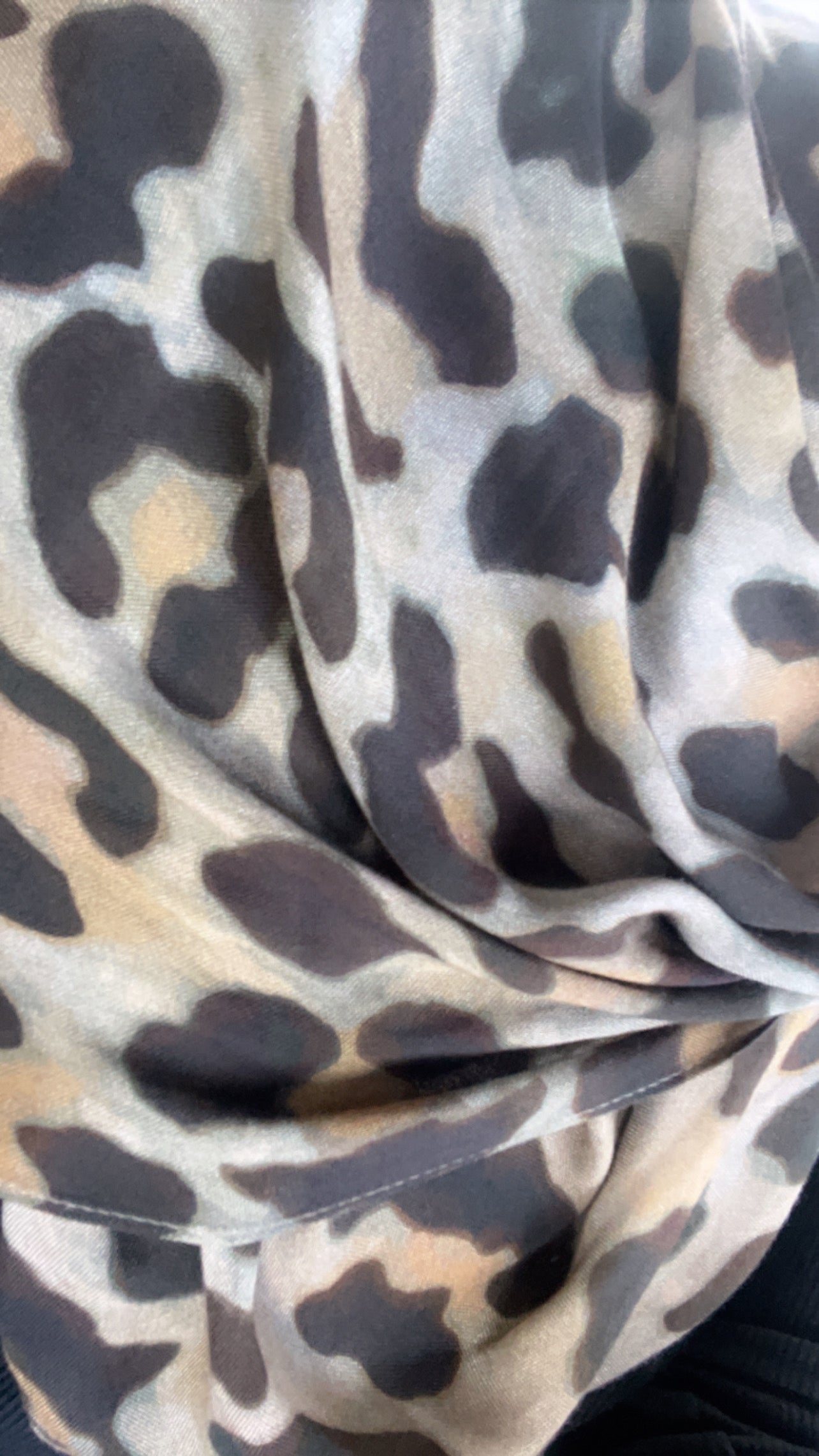 LEOPARD Modal