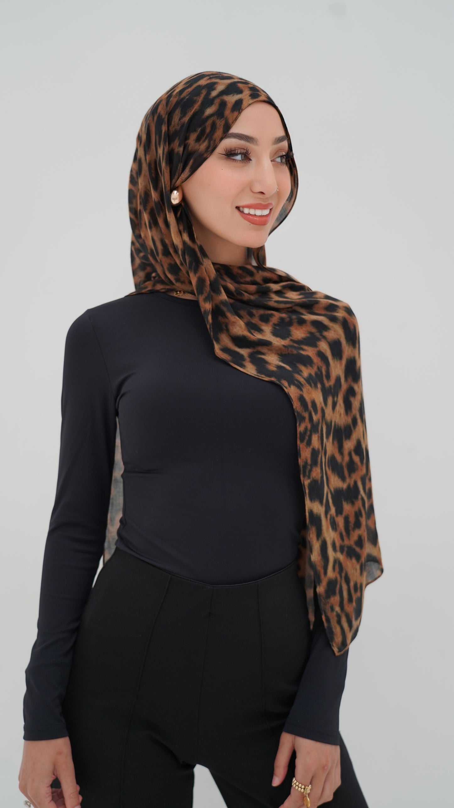 CHEETAH Modal