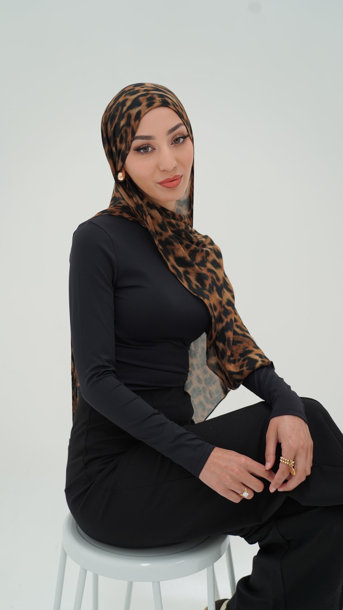 CHEETAH Modal