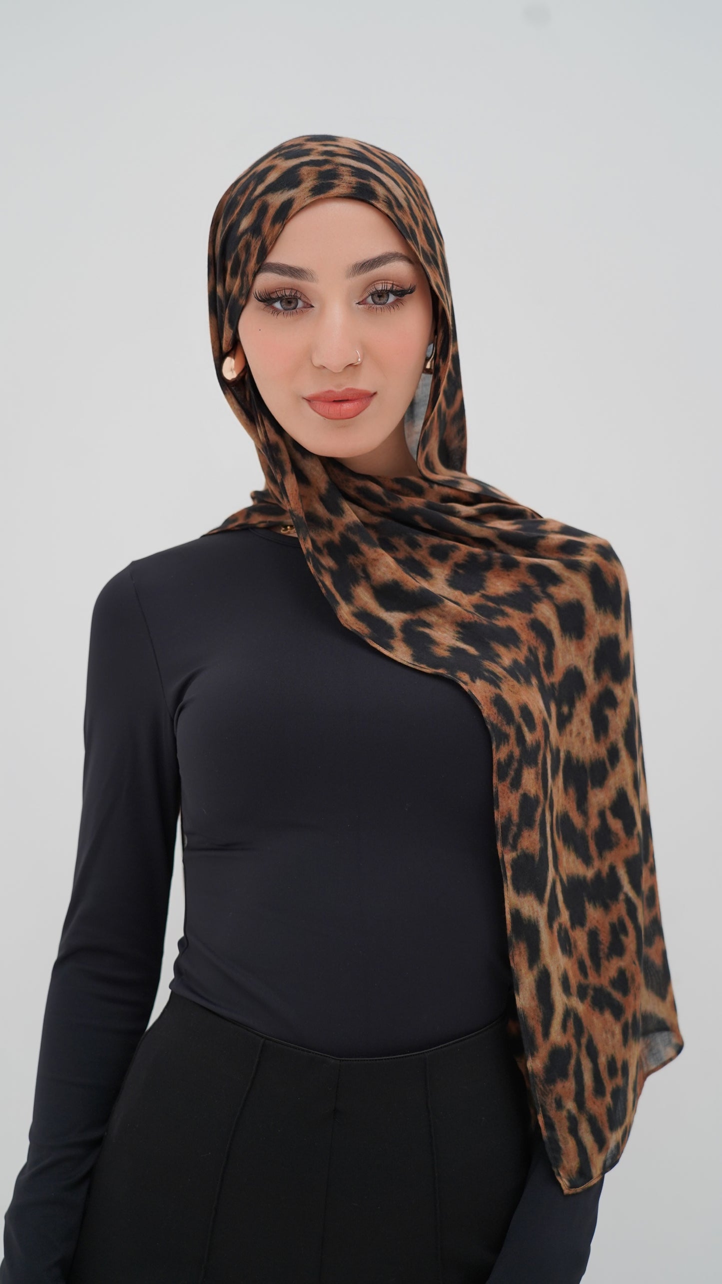 CHEETAH Modal